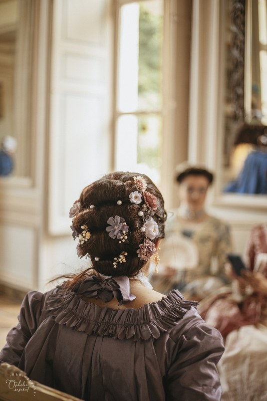 marquise coiffure crinolines et cie 