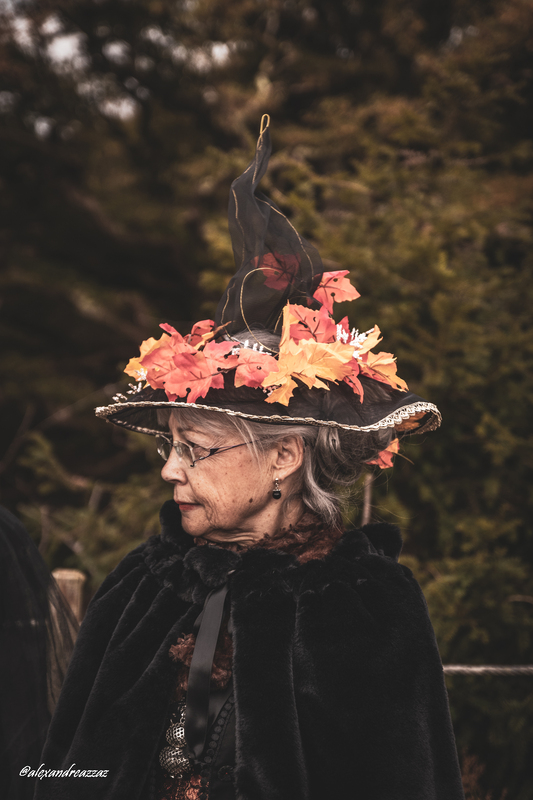 Costumes de sorcières et créatures magiques lors de la fête de la Sorcière à Brocéliande
